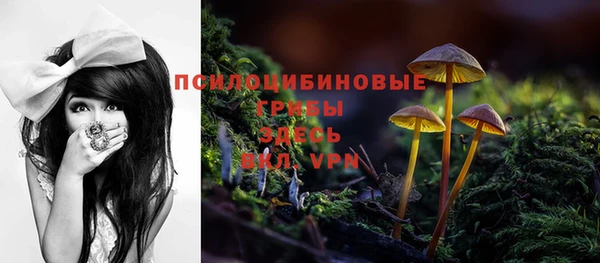 гидропоника Белоозёрский
