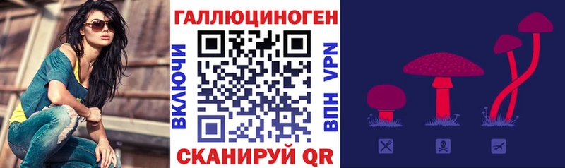 Псилоцибиновые грибы Cubensis  даркнет сайт  Заозёрск 